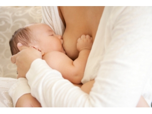 ������֭������ô�죿�洫�ط�������