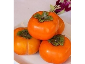 �����ӵĺô� ��������6���β���