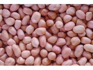 ר�θ���Сë�����޼�ƫ�� ת�����迴