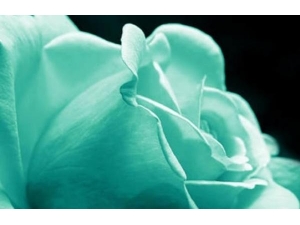 Ů�������ܡ���ƨ������ô���£�