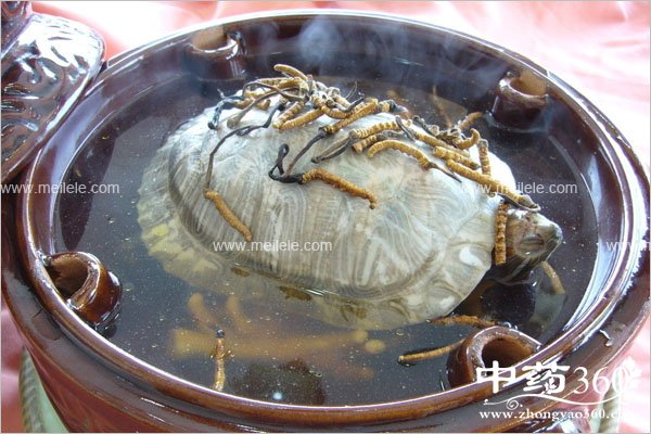 chilepidanbunengchishenme