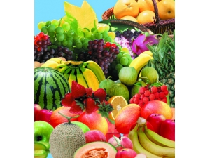 �����ϻ���ʲôԭ�� ���8ʳ������������