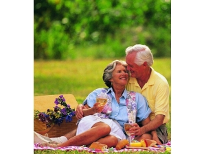 �������� ������������������ʳҪ����