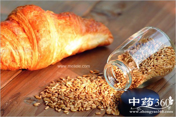 dongjiyangshengbaojianzhishi