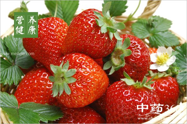 caomeideyingyangjiazhi