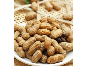 ������Ӫ����ֵ ���ػ����Ĵ�������Ч