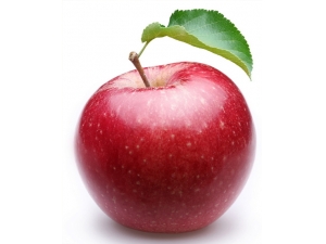 �ļ����ʲôˮ�����Բ�ˮ �ļ���ˮ����Ҫ