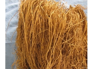 ϸ���ĸ����� С��ϸ���Ķ���