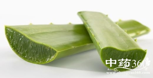 �ó涣ҧ��������С�ƹϡ����ɺ�«��