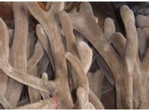 ¹������ô���� ¹���ݾƹ�Ч