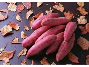 ���쵽�ˣ��⡰��������һ��Ҫ�ԣ�����ǿ����