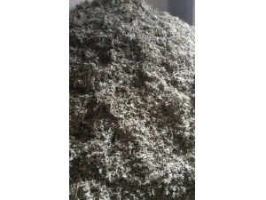 �°������� �����������ಹԪ��