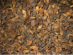 ���̵ı���ʳ�� �������������