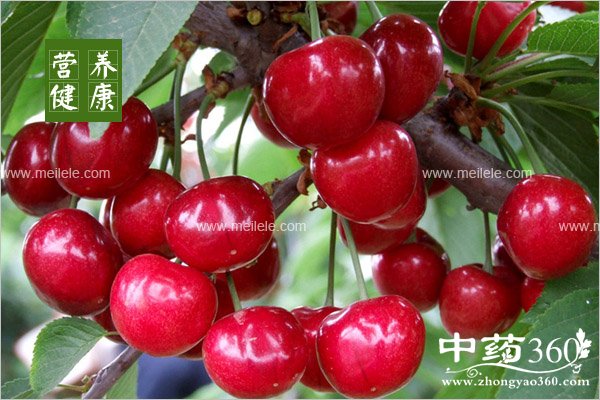 chelizideyingyangjiazhi