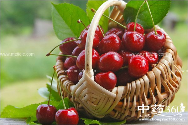 chelizideyingyangjiazhi