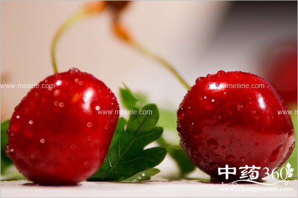 chelizideyingyangjiazhi