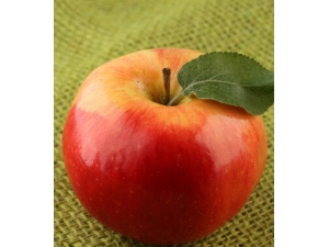 ÿ���ƻ���ĺô� һ����ƻ��ë���Ƶ���