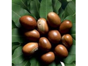 ��ľ���͵Ĺ�Ч������