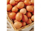 孕妇食谱 孕妇一天能吃多少鸡蛋