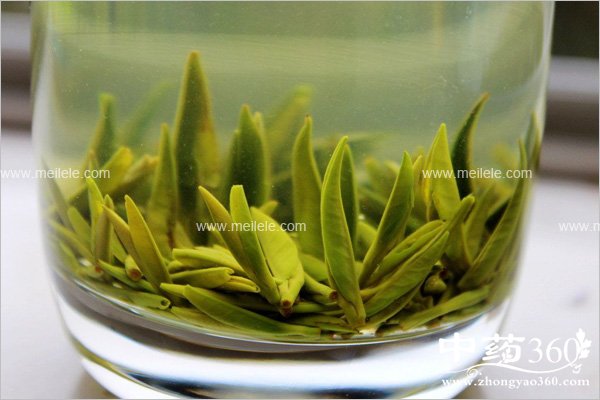 zhuyeqingdegongxiaoyuzuoyong