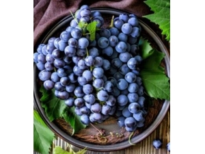 ���Ԥ������մ� ��Ч���ơ�����������ˮ��