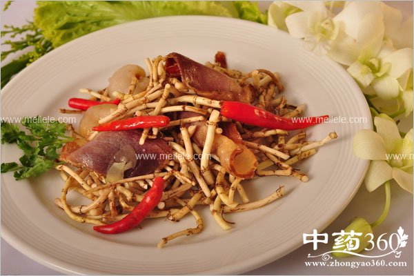 ershisijieqiyangsheng