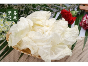 ����������ʲô ��������ʳ��ר�⽲�⣡