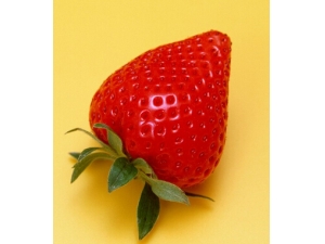 ��Ѫ������ε��� 4��ʳ��Ů��Ӧ���