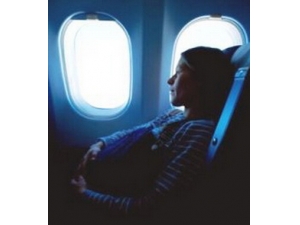 �������� ����������̥����Ӱ��