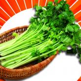 芹菜