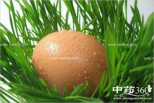 ganmaokeyichijidanma