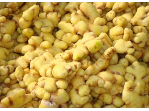 �����Ĺ�Ч������ �������������ܳ�