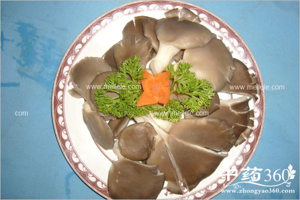 biantaotifayanzenmeban