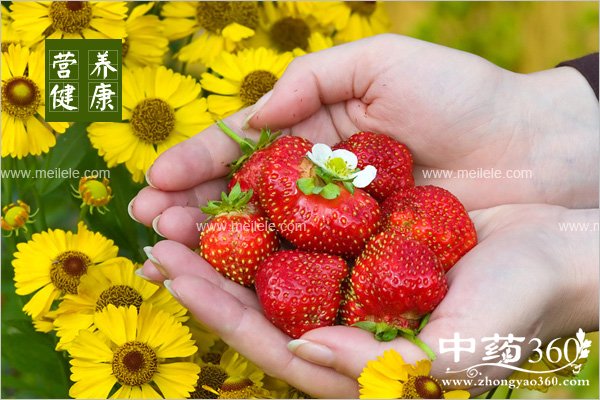 chishenmeshuiguojianfeizuikuai