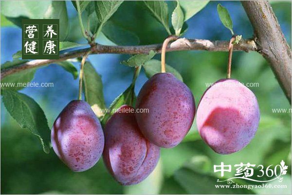 wumeideyingyangjiazhi