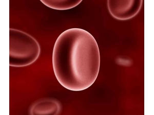 ����������6������ ��֪����