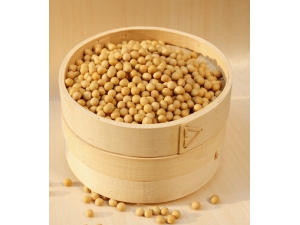 补肾吃什么好 这8类食物保护男人肾脏