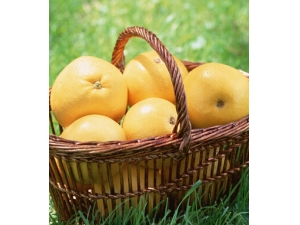 �����ʲôˮ���� ����6��ֹ�Ȼ���