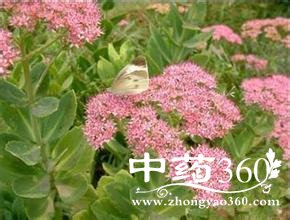 ���� (1).jpg