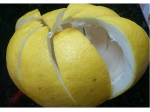 ����Ƥ��ࣺ�����׵�����