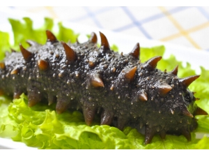 海参是个宝 海参的各种偏方