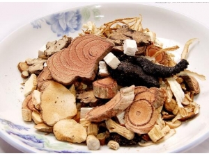 ��������ļ����ָ��ഺģ����