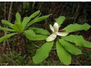 ���ӵ����� �и����ú���