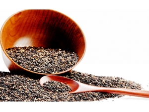 Ů�˲�Ѫ��ʲô С����������