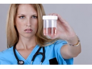 ��죬��Ҫ�����򡱲�����