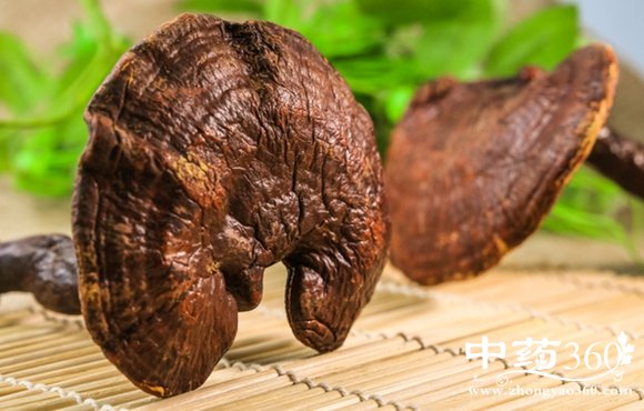 <a href='https://www.zhongyao360.com/z/lingzhi/' target='_blank'>֥</a>ˮȵĹЧ1