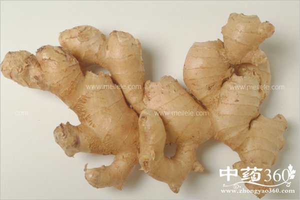 yongshenmepaojiaohao