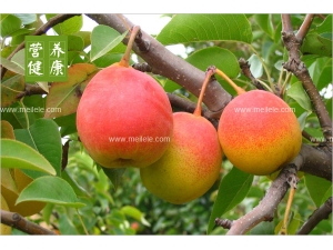 ���ӵĹ�Ч����������Щ ���ӵĺô�����أ�