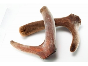 ¹䶬ĲݵЧ ¹붬ĲݵĴʳЧ