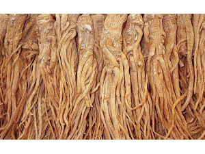 ��������Ĥ����ȥ�۴���